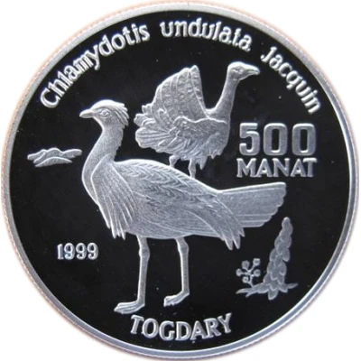 500 Manat Houbara Bustards back