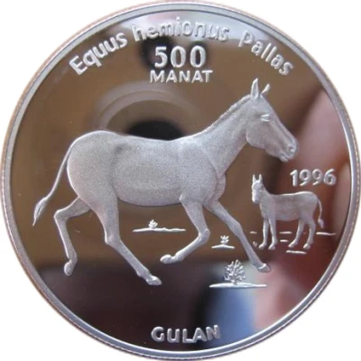 500 Manat Onager back