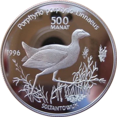 500 Manat Purple Swamphen back