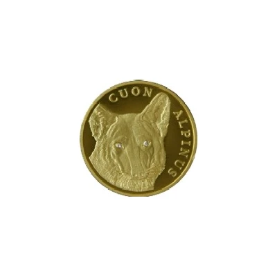 500 Tenge Red Wolf back