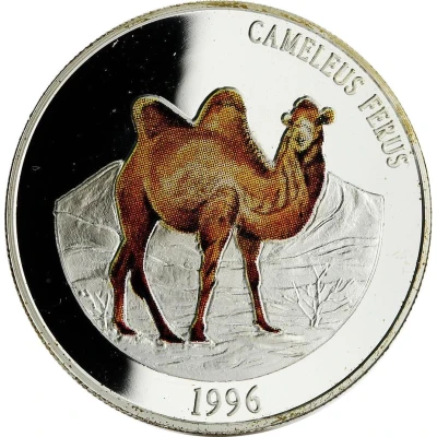 500 Tögrög Camel back