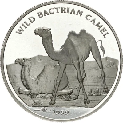 500 Tögrög Wild Bactrian Carmel back