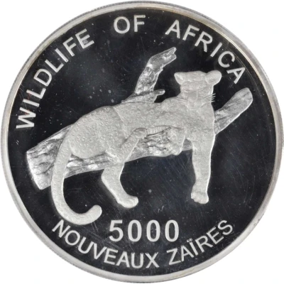 5000 Nouveaux Zaïres Leopard back