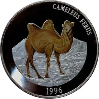 5000 Tögrög Camel back