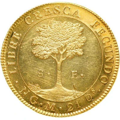 8 Escudos Guatemala back