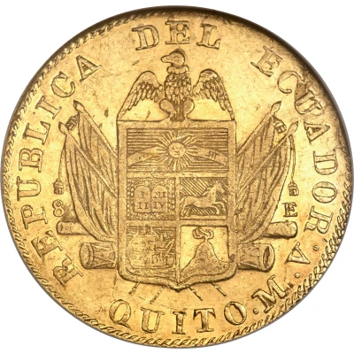 8 Escudos front