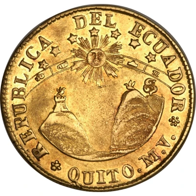 8 Escudos front