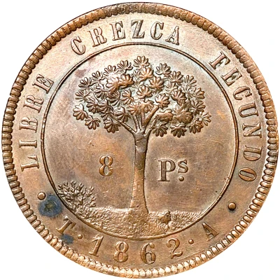 8 Pesos Provisional Coinage back