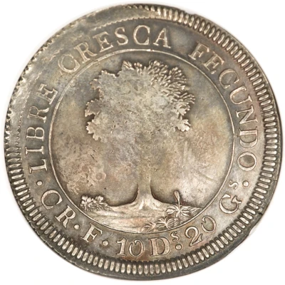 8 Reales Costa Rica back