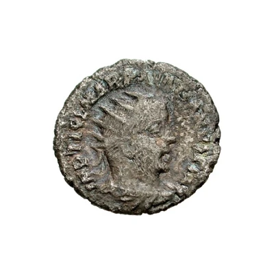 Antoninianus - Pacatianus PAX AETERNA; Pax front