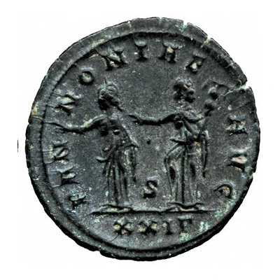 Antoninianus - Sabinus Iulianus back