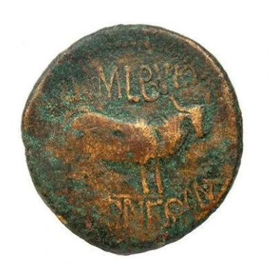 As - Augustus L POMPE BVCCO L CORNE FRONT 27 BC - 20 BC back