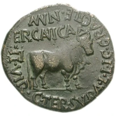 As - Caligula MVN ERCAVICA II VIR C TER SVRA L LIC CRACILE back