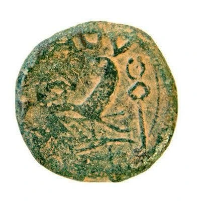 As SAGV 50 BC back