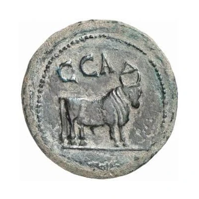 As - Tiberius C C A back