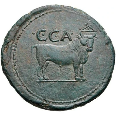 As - Tiberius C C A back