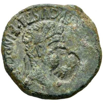 As - Tiberius Countermarked eagle left front