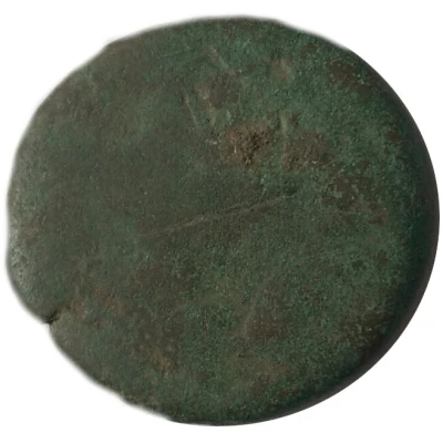 As - Tiberius Countermarked back