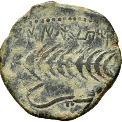 As 175 BC - 126 BC back