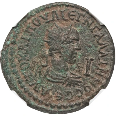 Assaria - Gallienus CIΔHTΩN A NEΩKOPΩN; Side front