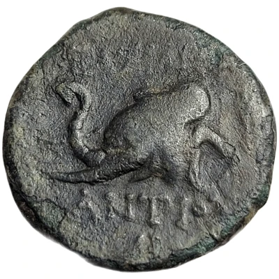 Chalkon - Antiochos IV Antioch 175 BC - 172 BC back