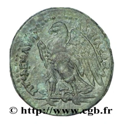 Chalkon - Ptolemy II Philadelphos 266 BC - 261 BC back