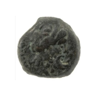 Chalkon - Ptolemy IX Soter II 107 BC - 101 BC front