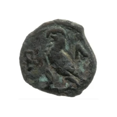 Chalkon - Ptolemy IX Soter II 107 BC - 101 BC back