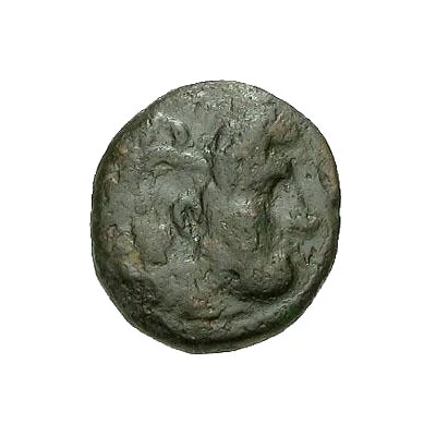 Chalkon - Seleukos I Sardes 312 BC - 280 BC front