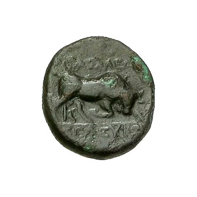 Chalkon - Seleukos I Sardes 312 BC - 280 BC back