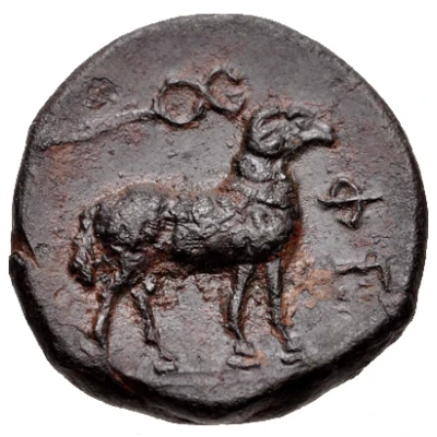 Chalkon 370 BC - 340 BC back