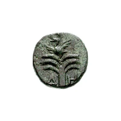 Chalkon 308 BC - 167 BC back