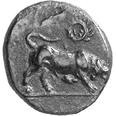 Chalkon 350 BC - 300 BC front