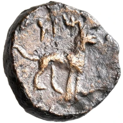 Chalkous - Artaxias I dog 190 BC - 160 BC back