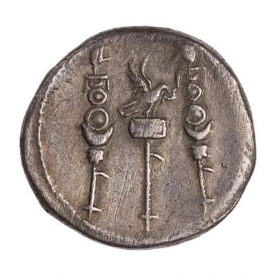 Cistophorus - Domitian back