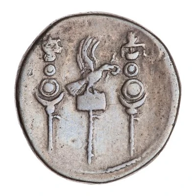 Cistophorus - Titus back