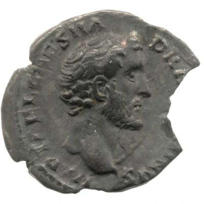 Denarius - Antoninus Pius AVG PIVS P M TR P COS II P P; Pax front