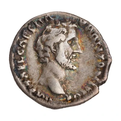 Denarius - Antoninus Pius AVG PIVS P M TR P COS II front
