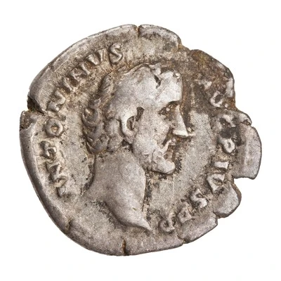Denarius - Antoninus Pius TR P COS II front