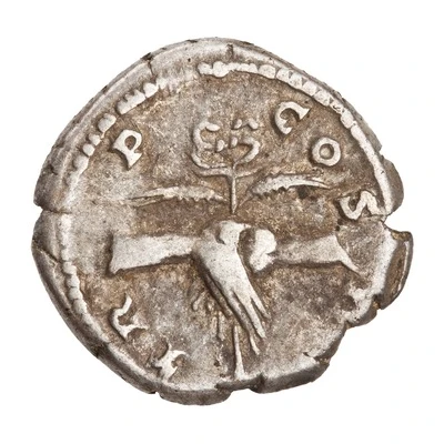 Denarius - Antoninus Pius TR P COS II back