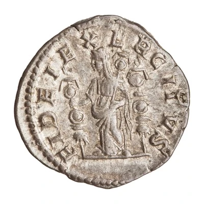 Denarius - Caracalla FIDEI EXERCITVS; Fides back