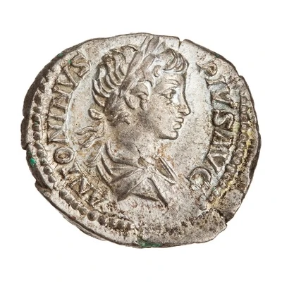 Denarius - Caracalla INDVLGENTIA AVGG IN CARTH; Dea Caelestis front