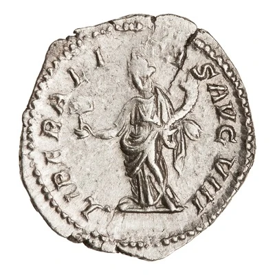 Denarius - Caracalla LIBERALITAS AVG VIII; Liberalitas back