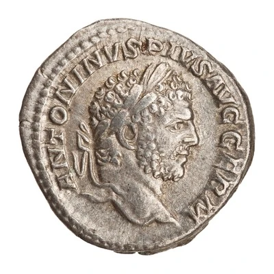 Denarius - Caracalla P M TR P XVII COS IIII P P front
