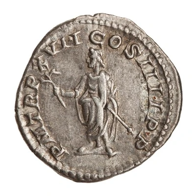 Denarius - Caracalla P M TR P XVII COS IIII P P back