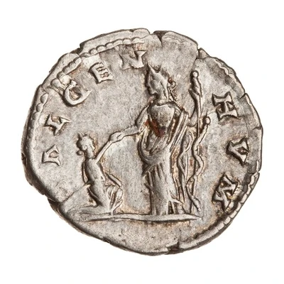 Denarius - Caracalla SAL GEN HVM; Salus back