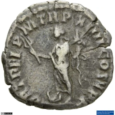Denarius - Commodus FORT FEL P M TR P XIIII COS V P P; Fortuna back