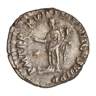 Denarius - Commodus P M TR P XVII IMP VIII COS VII P P; Fortuna back