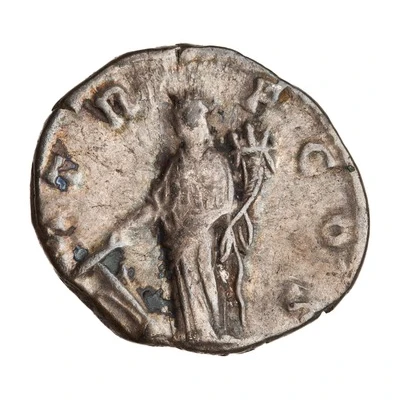 Denarius - Didius Julianus P M TR P COS; Fortuna back