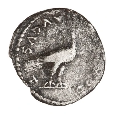 Denarius - Domitia CONCORDIA AVGVST back